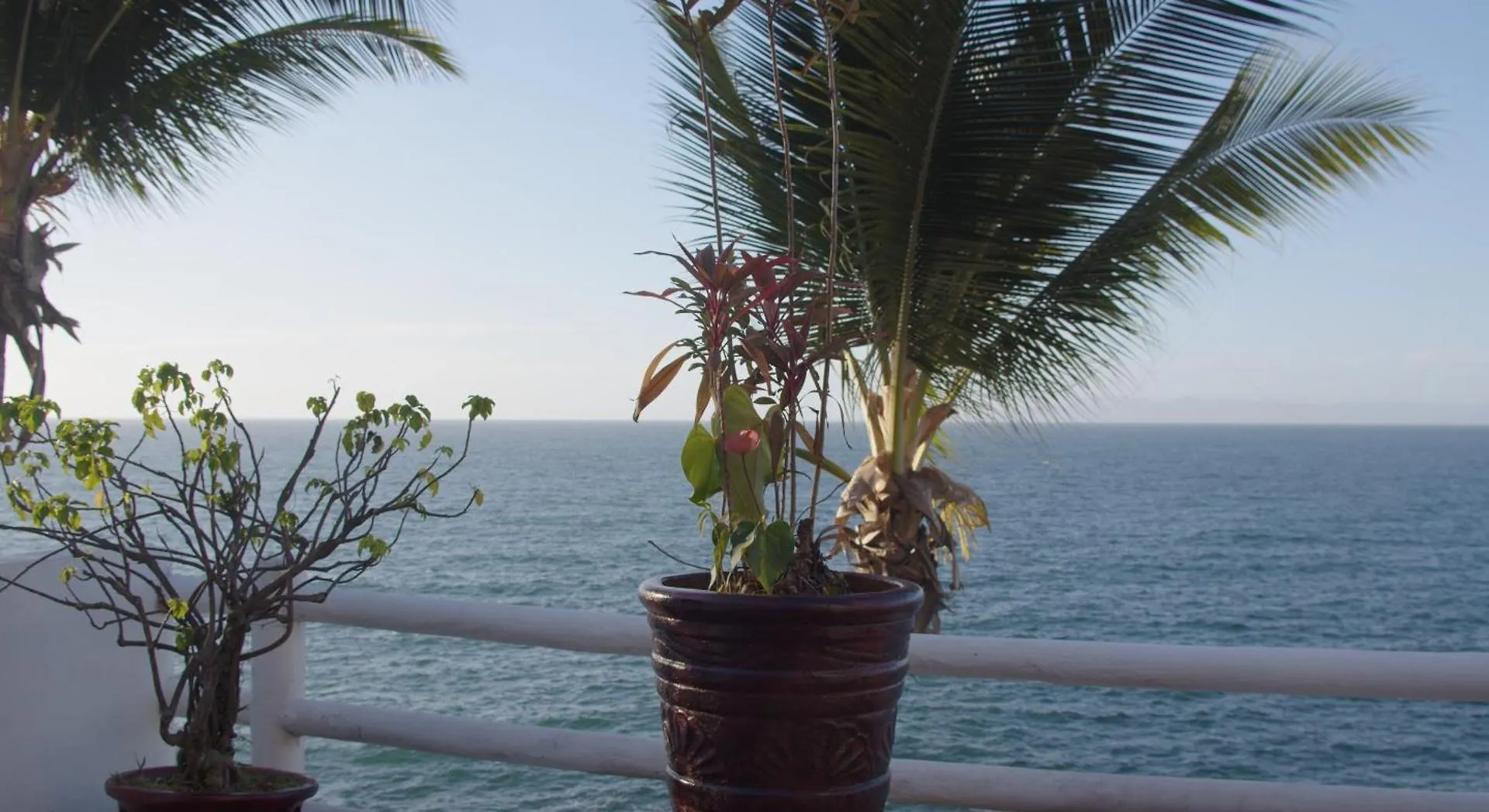 Hotel Traditional Sierra Leon Oceanfront Rooms - Adults Only Puerto Vallarta