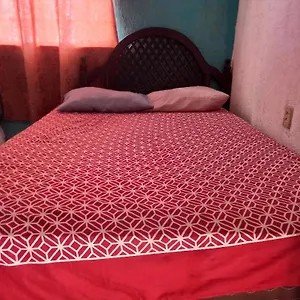 Bravo Vallarta Hostel
